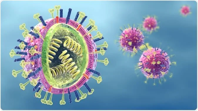 Đặc điểm cấu tạo của virus cúm A
