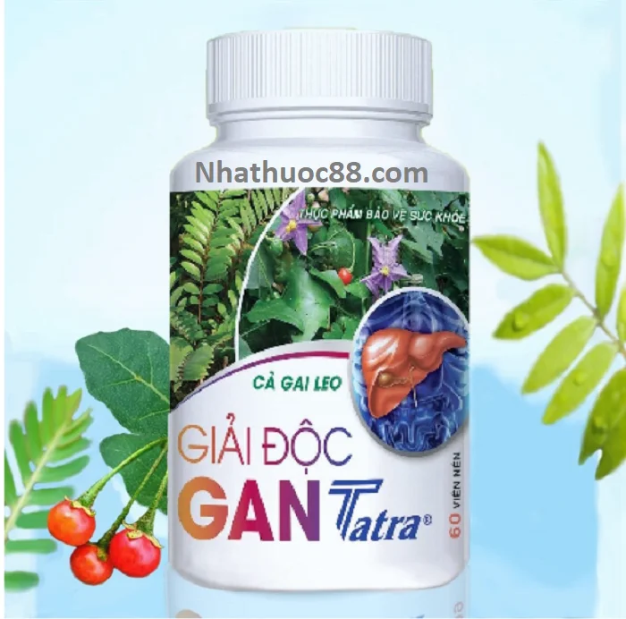 Giải độc gan Cà Gai Leo lọ 60 viên Tatra