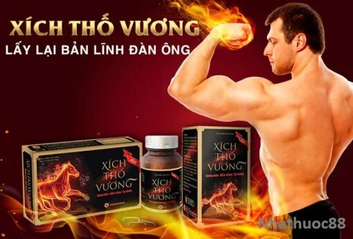 Viên uống Xích Thố Vương Giúp bổ thận, tráng dương, tăng cường sinh lực Nam