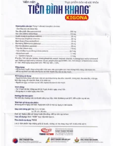 Viên uống Tiền Đình Khang Kigona giảm nhanh rối loạn tiền đình hộp 30 viên