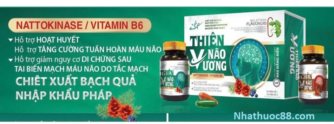 Bổ não Thiên Não Vương (60 viên)- giảm nhanh các triệu chứng đau đầu,chóng mặt,tê bì chân tay,mất ngủ kinh niên…