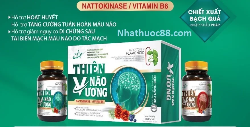 Bảo não Thiên Não Vương (60 viên)- giảm nhanh các triệu chứng đau đầu,chóng mặt,tê bì chân tay,mất ngủ kinh niên…