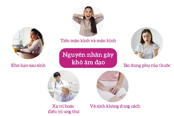 2. Nguyên nhân gây ra khô hạn ( khô âm đạo) ở phụ nữ