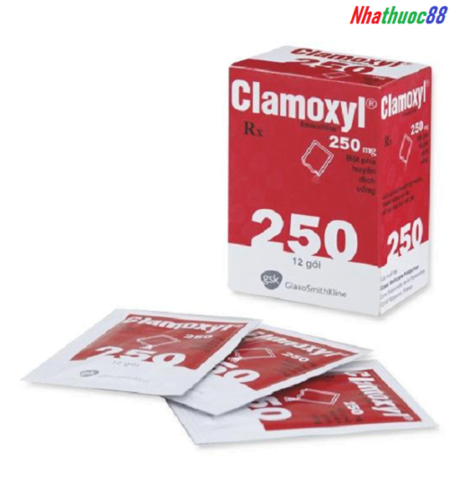 thuốc clamoxyl 250 là thuốc gì?