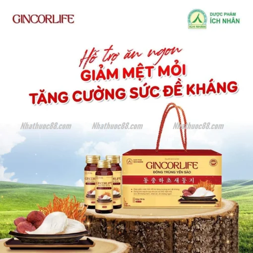 GINCORLIFE Đông Trùng Yến Sào Ích Nhân (10 lọ) có tác dụng hỗ Trợ Ăn Ngon, tăng sức đề kháng