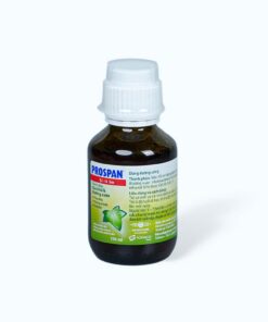 Thuốc ho Prospan – Siro thảo dược trị ho hiệu quả cho cả gia đình